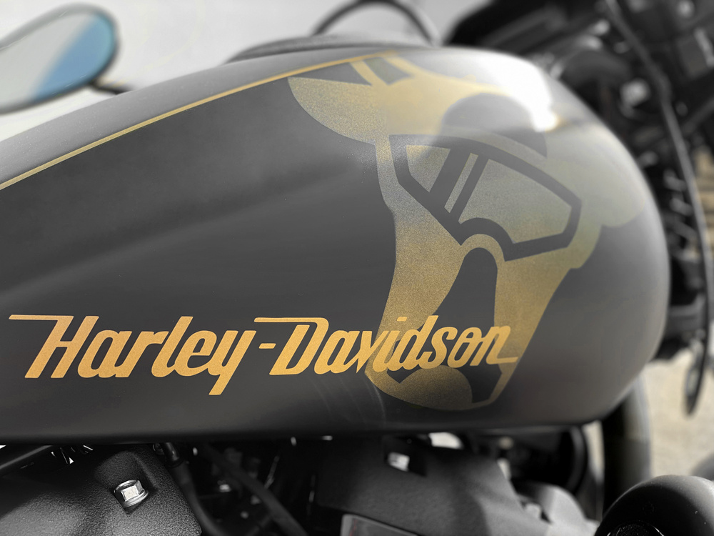 Harley Davidson  - 45